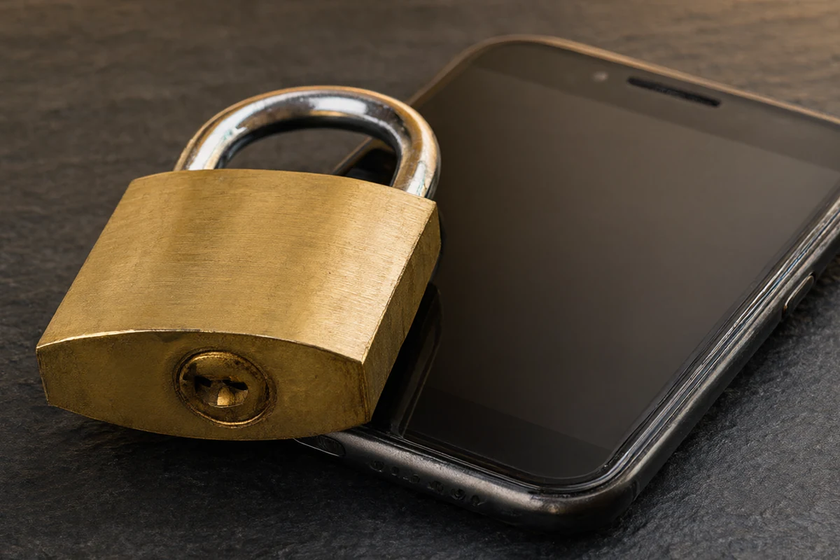 Password Reset and Recovery Explained